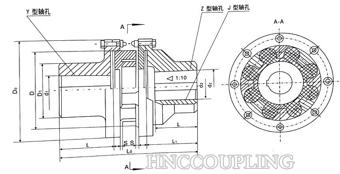 Double-Flange-Jaw-Coupling-Size