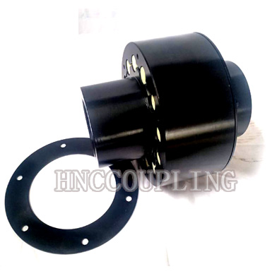 Gear Coupling