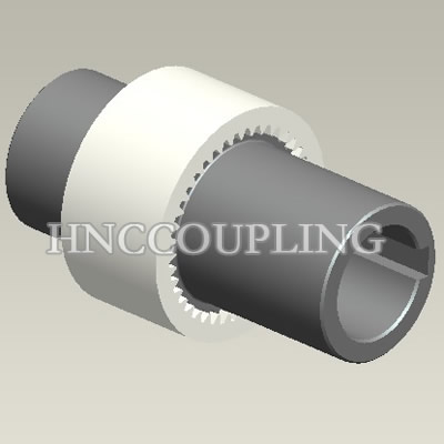 Nylon-Gear-Coupling